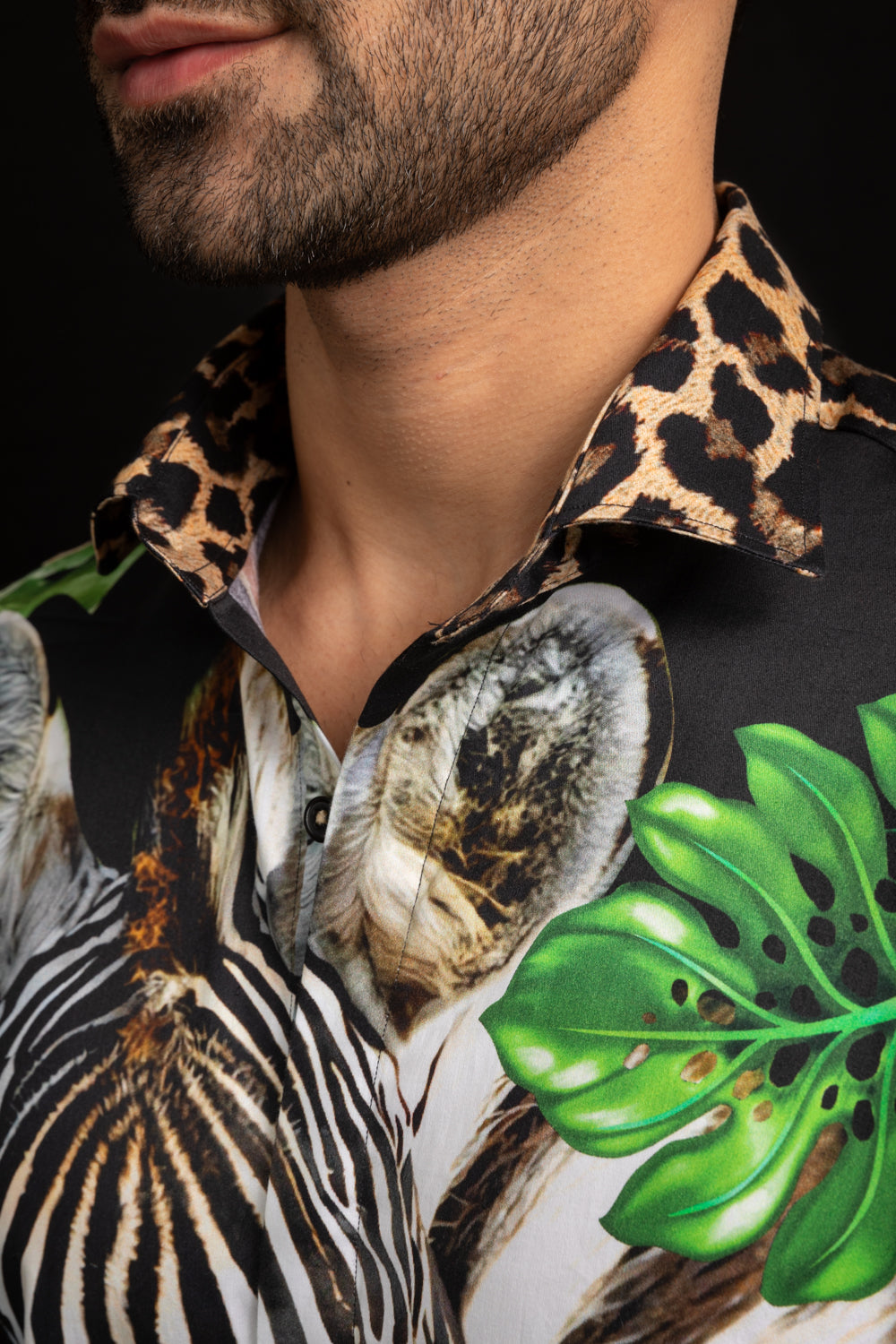 SAFARI